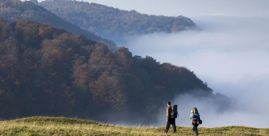 Enjoy an autumn walk in the Cotswolds
