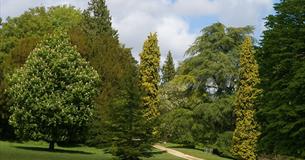 Arboretum in May colesbourne