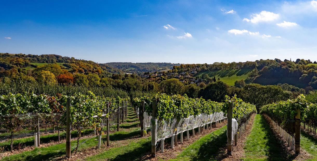 A Taste of the Undiscovered Cotswolds – a wine tasting & food pairing experience