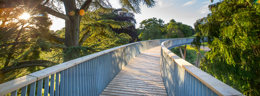 The STIHL Treetop Walk at Westonbirt Arboretum