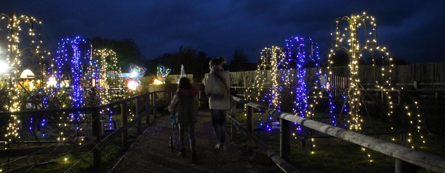 Christmas Lights at Fairytale Farm