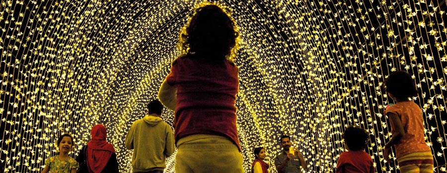 Blenheim Palace Illuminated Christmas Lights Trail