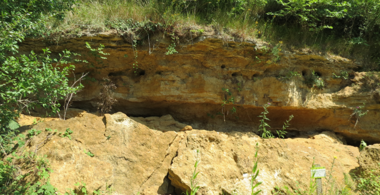 Fossil-rich cliffs at Dry Sandford Pit