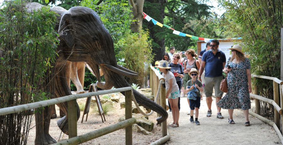 Animal Ark experience at Sudeley Castle