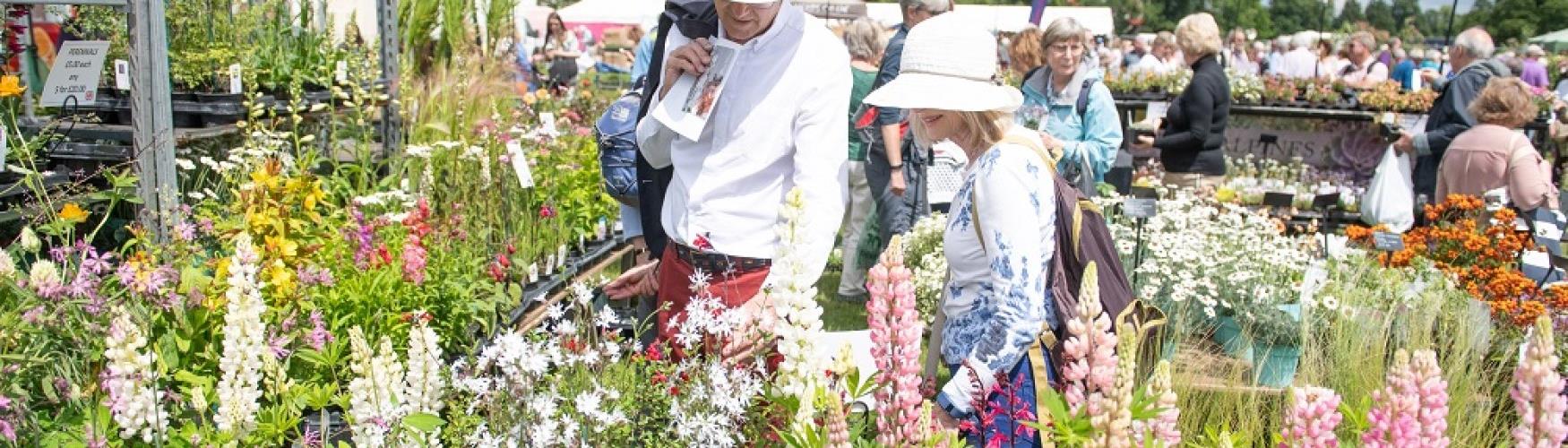 Couple admiring flowers at Blenheim Palace Flower Show