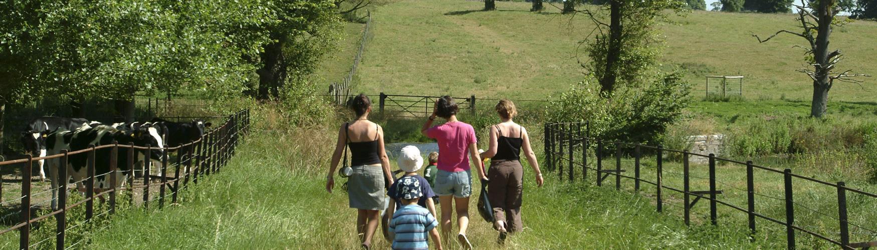 Family walks in the Cotswolds