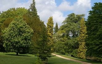 Arboretum in May colesbourne