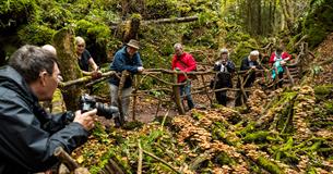 Forest of Dean Group Photography Experience
