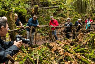 Forest of Dean Group Photography Experience
