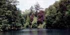 Colesbourne Arboretum with the lake